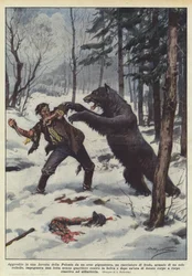 Aggredito in una foresta della Polonia da un orso gigantesco, un cacciatore di frodo